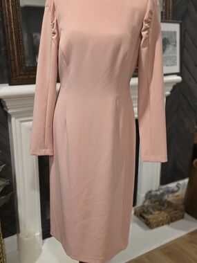 ANTONIO MELANI Dusty Blush Long-Sleeve Sheath Dress